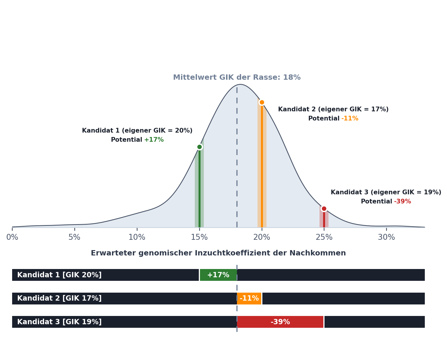 Rangliste der Anpaarungsbewertungen – Potential der Kandidaten Zweiteilige Grafik: oben die Verteilungskurve mit dem Mittelwert-GIK der Rasse (18 %) und drei Anpaarungskandidaten (eigener GIK 20/17/19 %) an ihrem erwarteten Nachkommen-GIK (15/20/25 %); unten Potential-Balken je Kandidat (Kandidat 1 +17 % grün, Kandidat 2 −11 % orange, Kandidat 3 −39 % rot) als Abweichung vom Rassenschnitt.