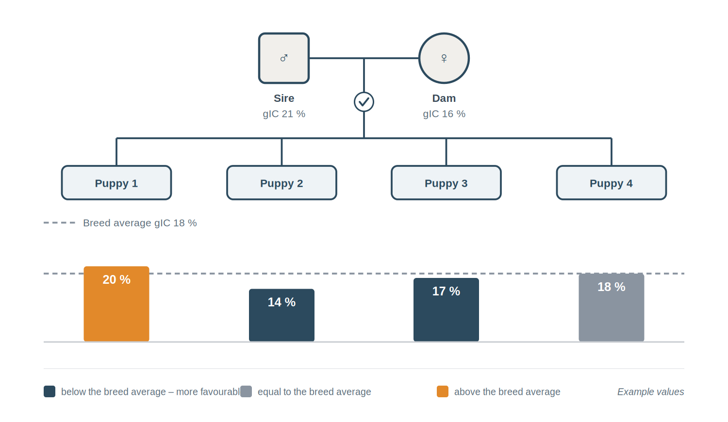 Pedigree with inbreeding assessment of the offspring Parent pair with four puppies; each puppy carries its own genomic inbreeding coefficient between 14 and 20 percent, shown as bars against the breed average of 18 percent.