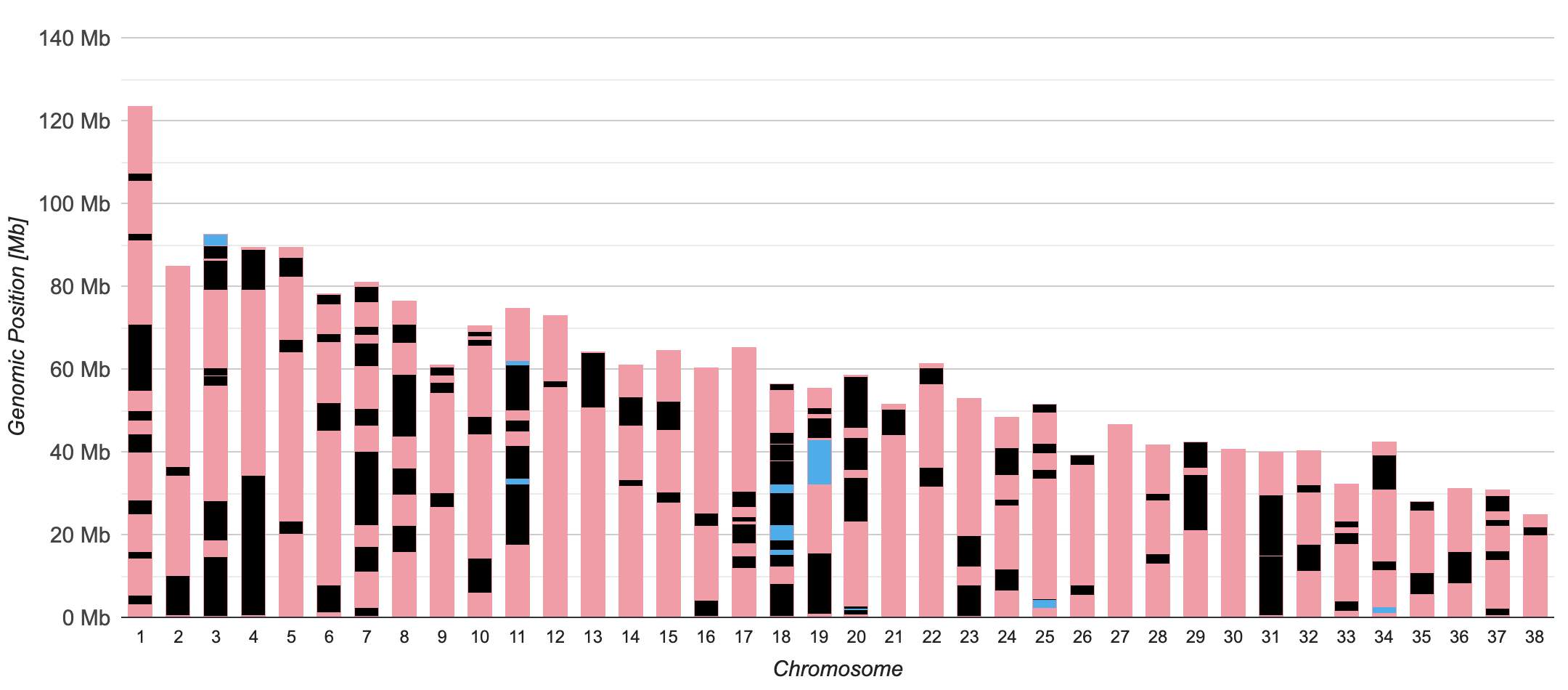 ROH-Profil Hundegeschwister 1 – GIK 27 % ROH-Profil von Hundegeschwister 1 mit individuellem Muster reinerbiger ROH-Abschnitte – GIK 27 %