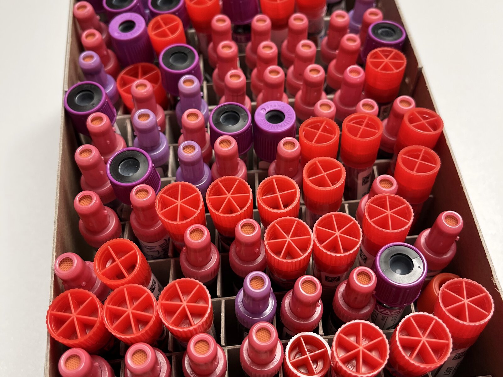 Storage box with tightly packed EDTA blood tubes in the laboratory sample archive.